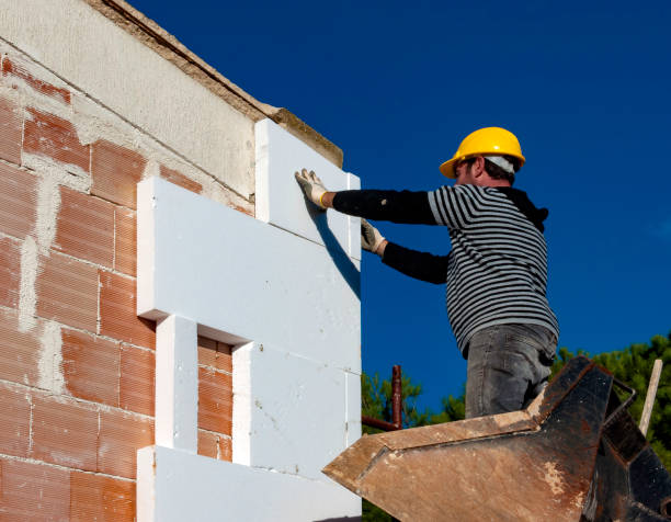 Best Insulation for New Construction  in Mcalmont, AR