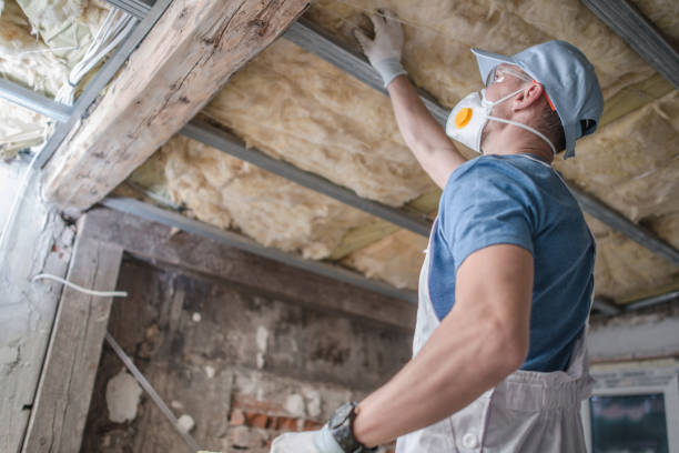 Insulation Replacement Services in Mcalmont, AR