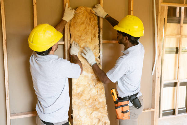 Best Best Insulation Companies  in Mcalmont, AR