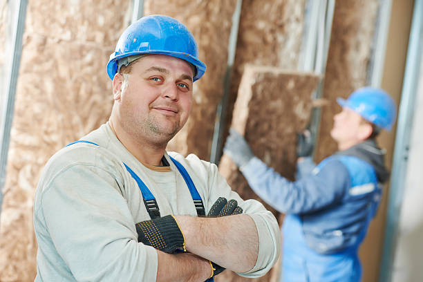 Best Spray Foam Insulation  in Mcalmont, AR